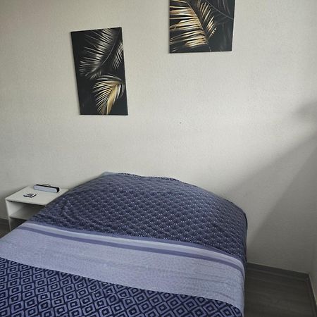 Cocon Wifi Netflix Parking Gratuit Appartement Belfort Buitenkant foto