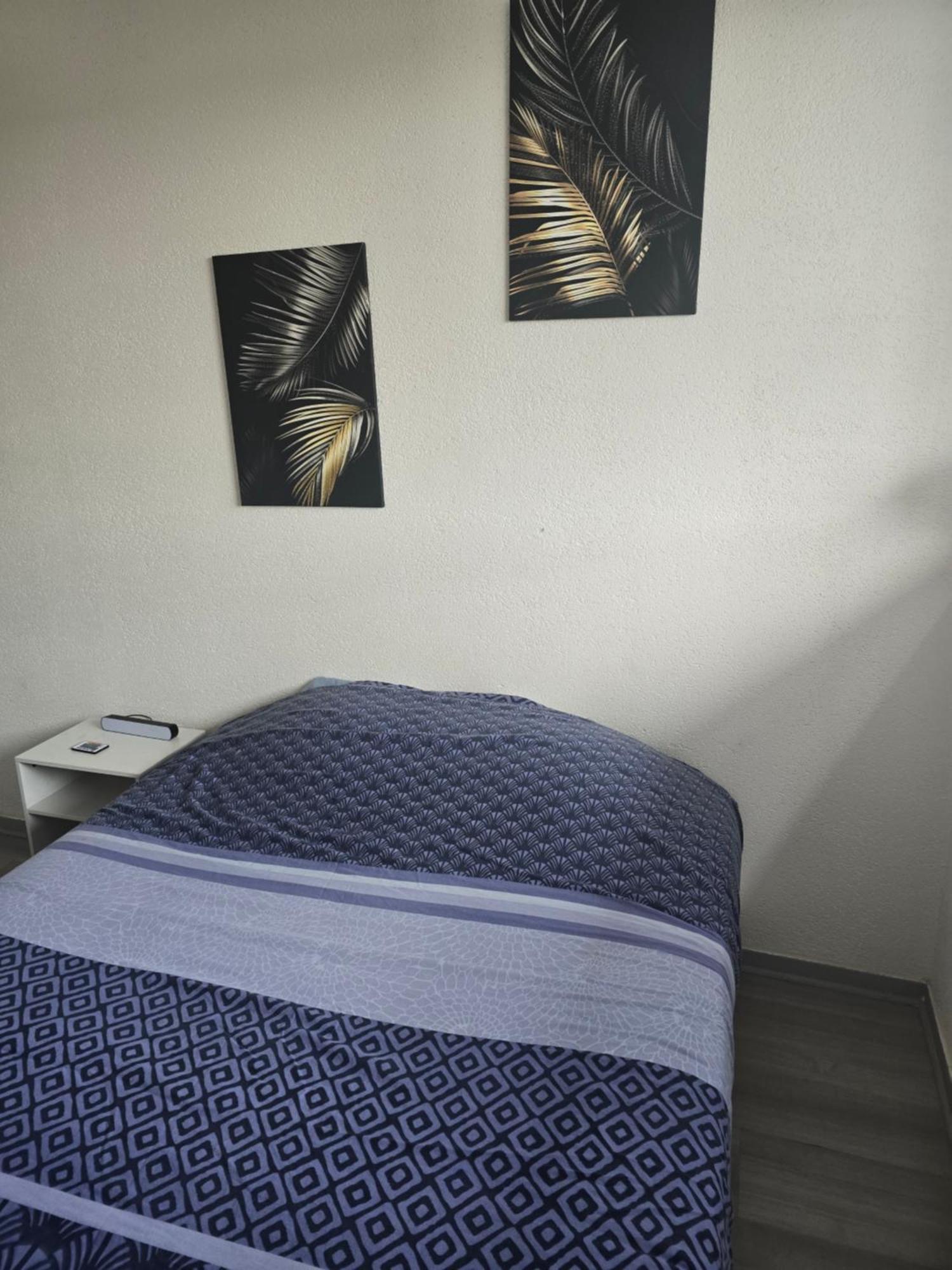 Cocon Wifi Netflix Parking Gratuit Appartement Belfort Buitenkant foto
